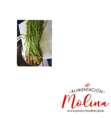 Manojo de Tagarninas de la Huerta Manojo de Tagarninas de la Huerta